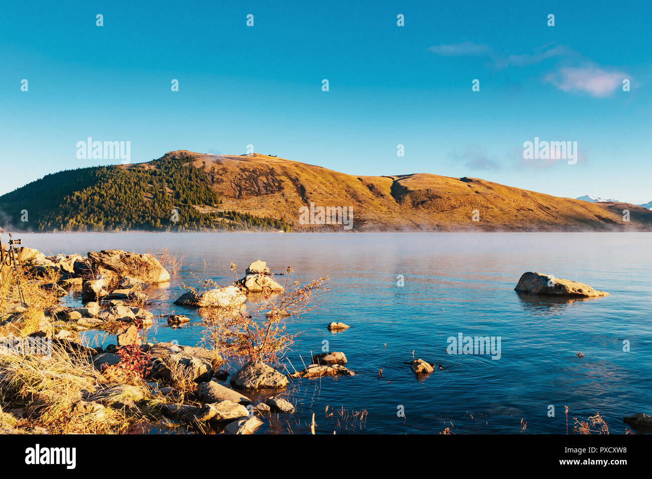 Sunrise at Lake Tekapo, South Island, New Zealand Stock Photo - Alamy