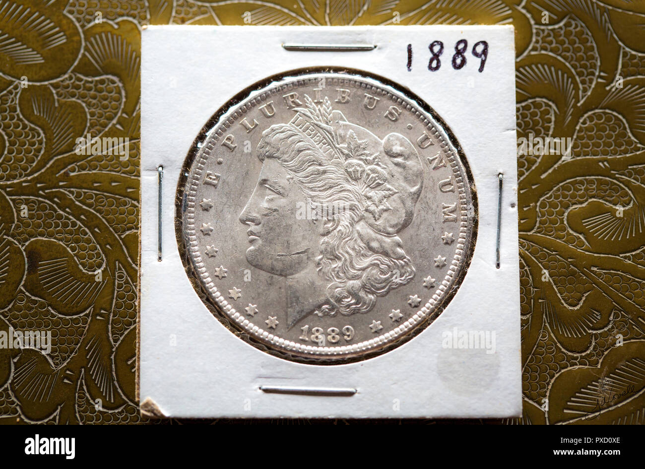 Mint State Silvery Morgan Dollar in its 2 x 2 Cardboard Holder against the brass design of a box top. Stock Photo