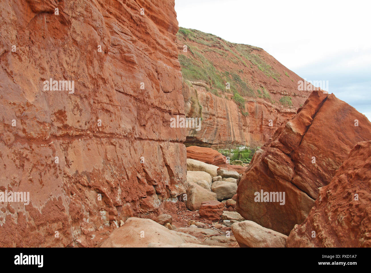 Triassic desert sandstones and mudstones, Orcombe Point, Exmouth, Devon, England, UK Stock Photo