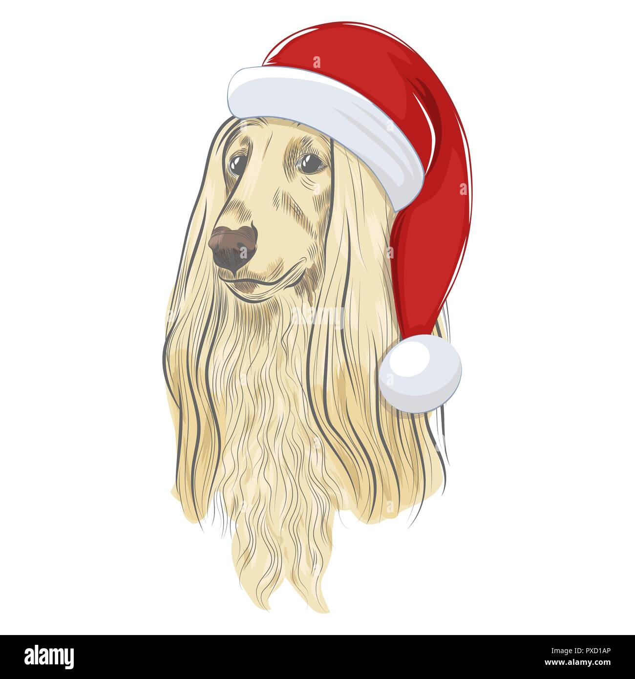 Afghan hound wears Christmas hat. Hand drawn holiday dog sketch isolated on white background. Stock Vector