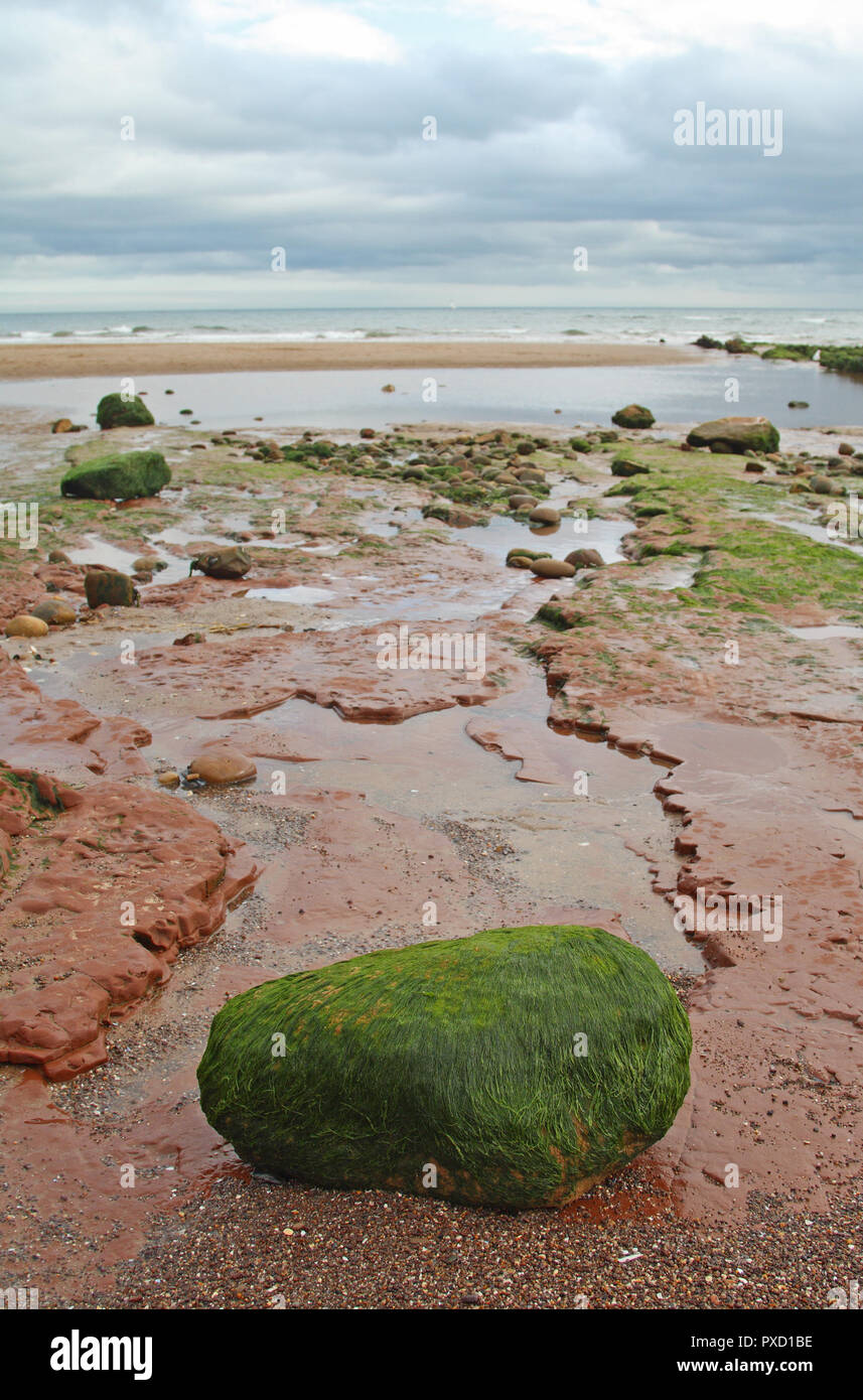 Exmouth beach east devon uk hires stock photography and images Alamy