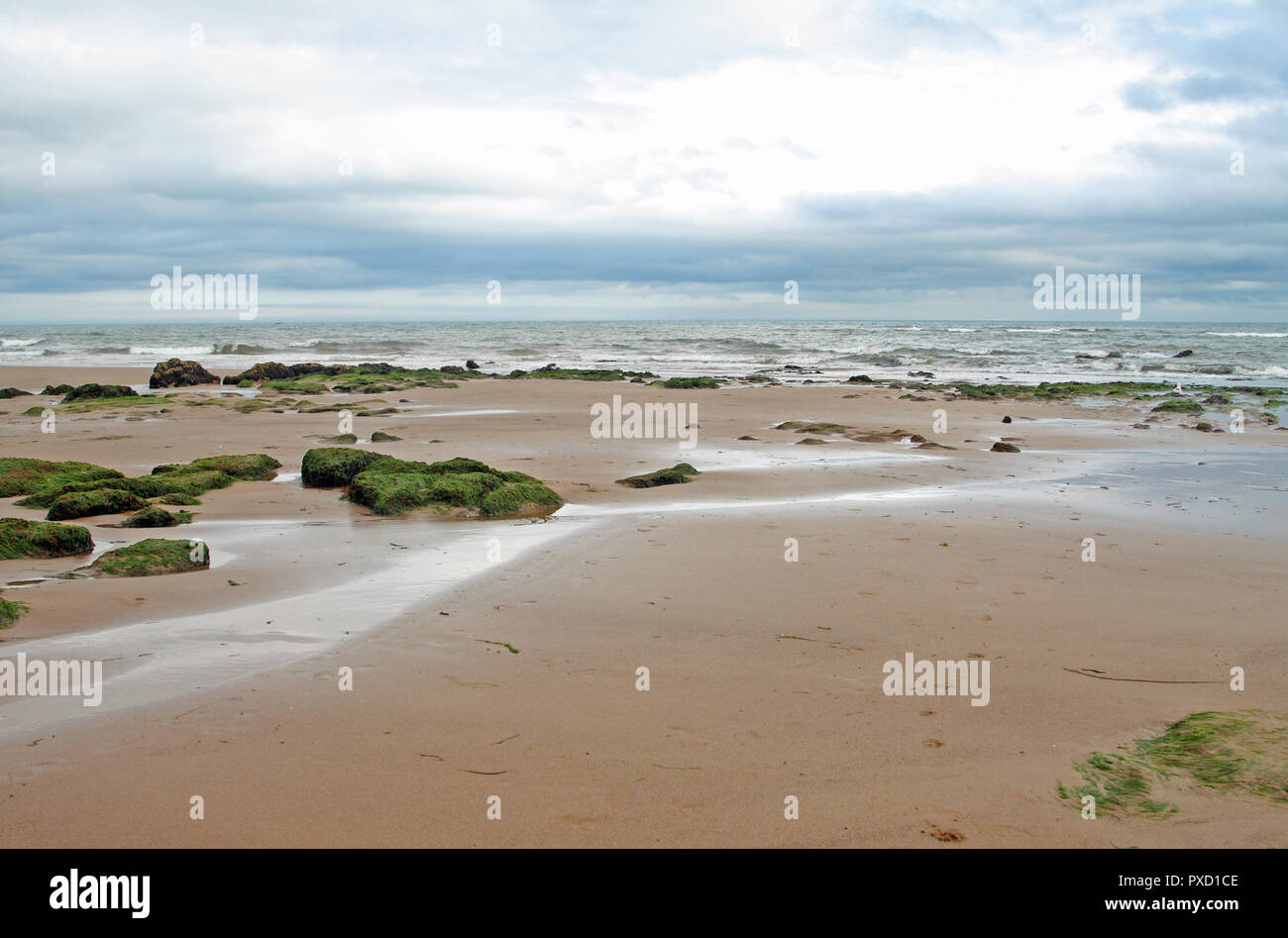 Low tide at Orcombe Point, Exmouth, south Devon coast, England, UK Stock Photo
