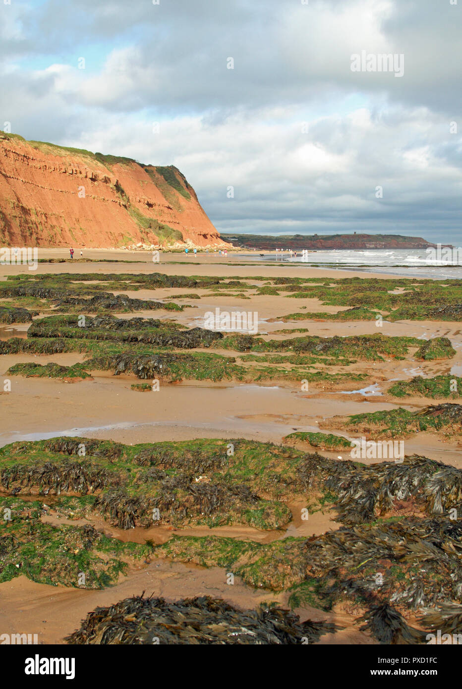 Low tide on the beach at Orcombe Point, Exmouth, Devon, England, UK Stock Photo