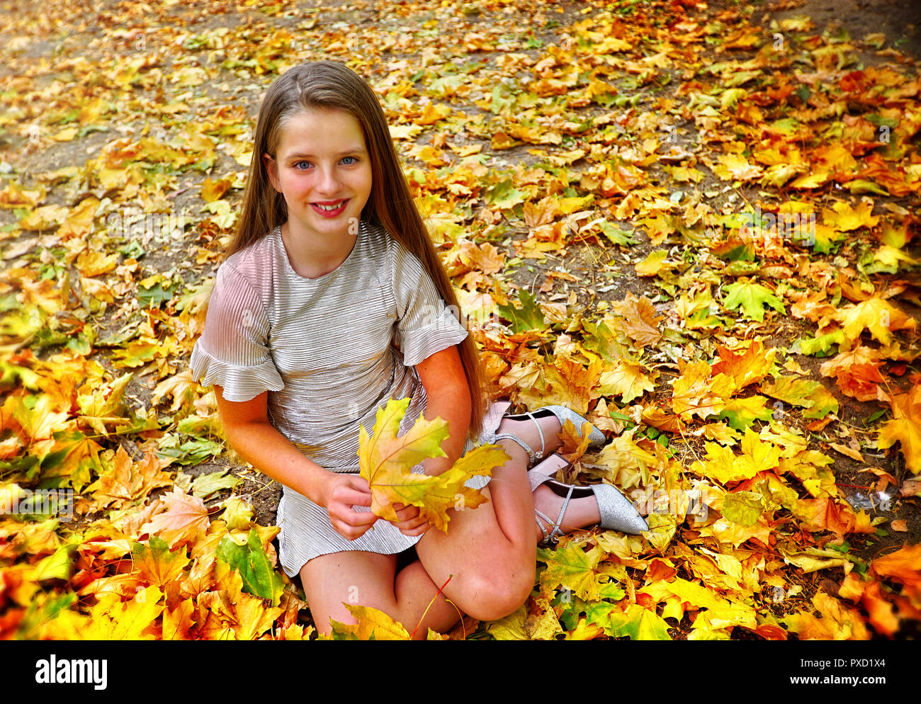 Autumn fashion dress child girl sitting fall leaves park outdoor. Stock Photo