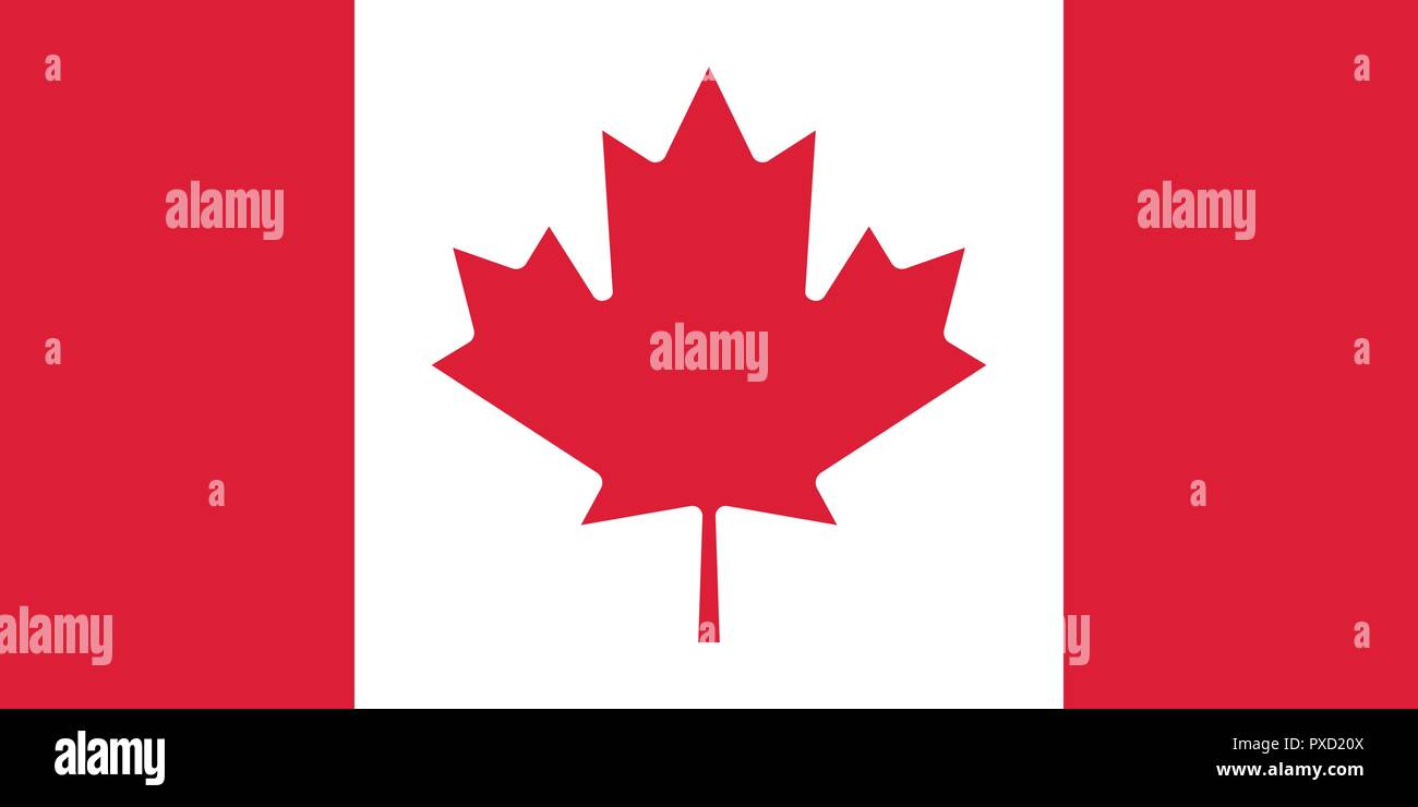 Vector image for Canada flag. Based on the official and exact Canadian flag dimensions (2:1) & colors (199C and White) Stock Vector