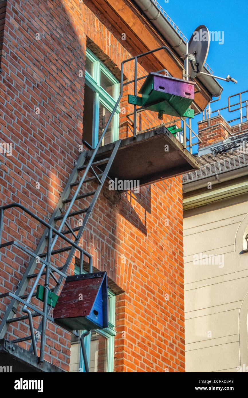 Bird nesting Box. Breeding box on firescape of building for urban birds