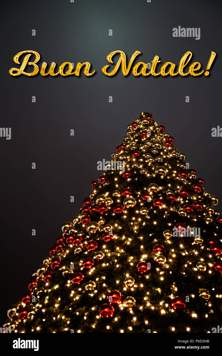 A Christmas tree with golden and red decoration. The Italian text „Buon  Natale“ means "Merry Christmas“. A perfect holiday greeting card Stock  Photo - Alamy