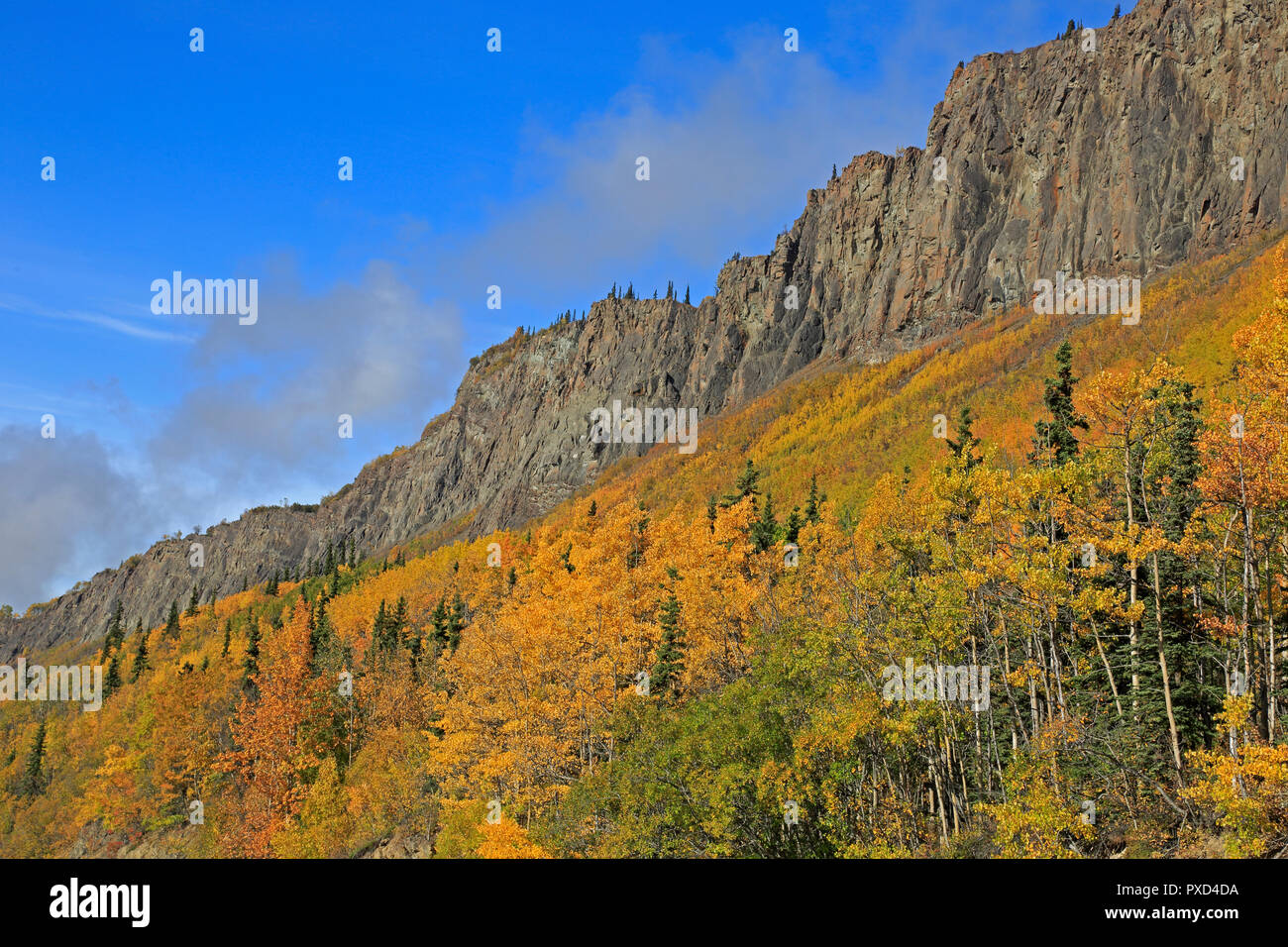Autumn Fall colours along the Glenn Highway Alaska USA Stock Photo