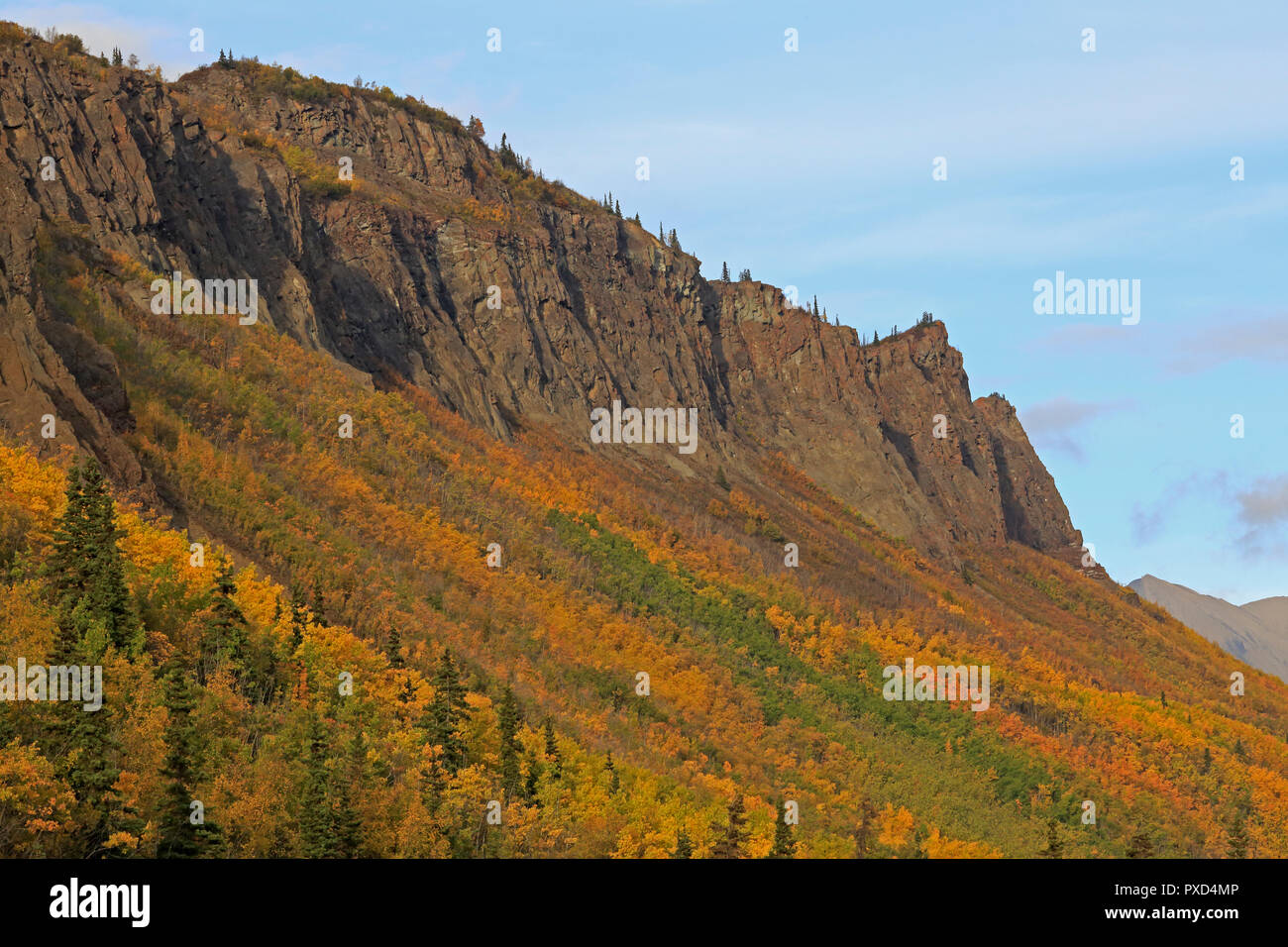 Autumn Fall colours along the Glenn Highway Alaska USA Stock Photo