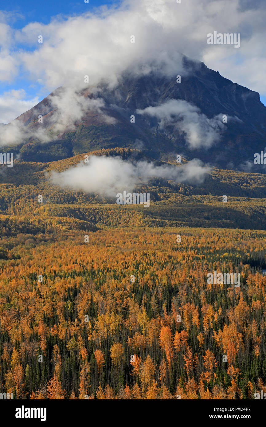 Gunsight hires stock photography and images Alamy