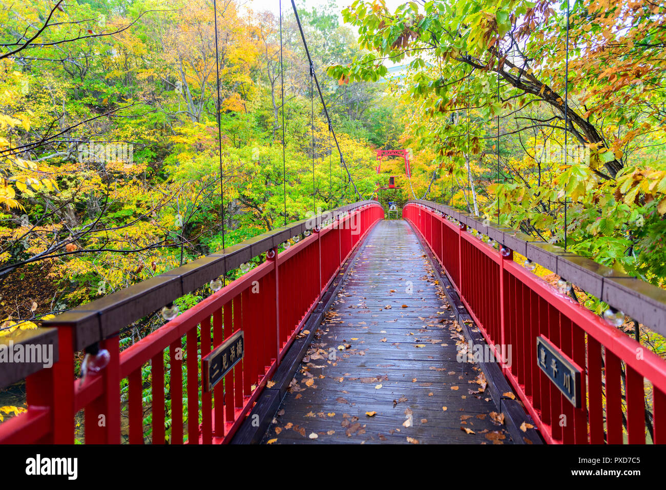 Jozankei Futami Suspension Bridge and Autumn maple forest in Jozankei Onsen, The most popular tourist attraction to Hokkaido. Japan Stock Photo