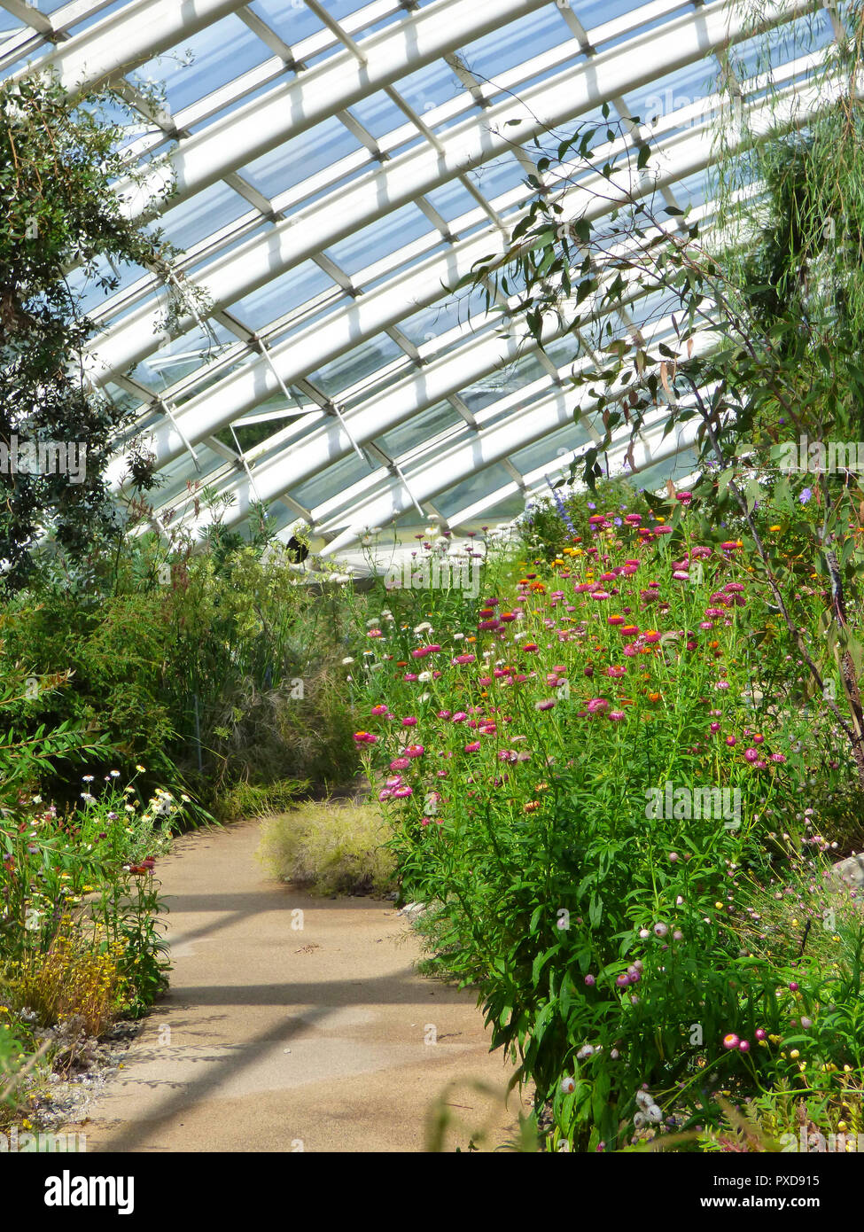 The great glasshouse/greenhouse at the National Botanic Garden of Wales