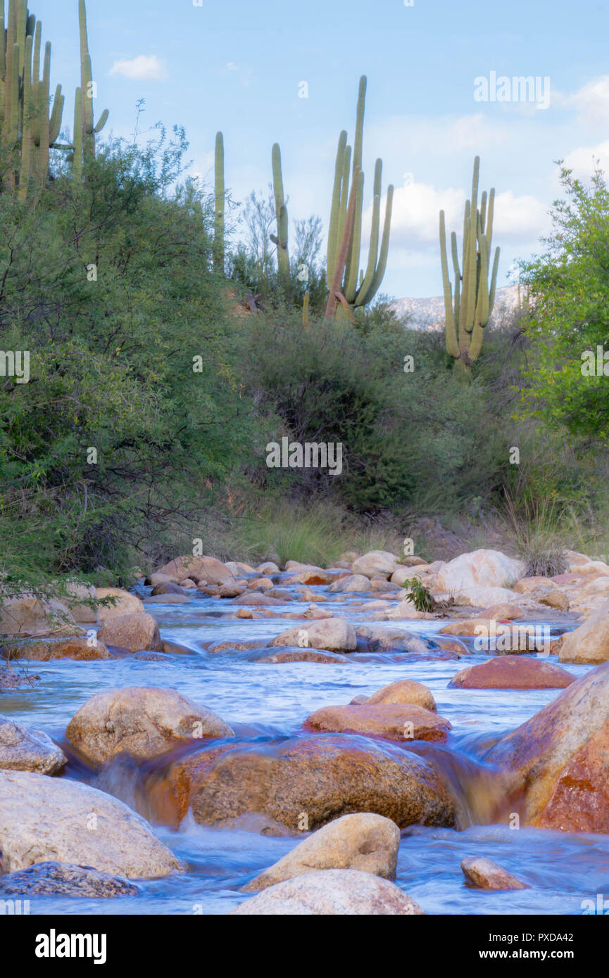 Desert Water Image Stock Photo Alamy