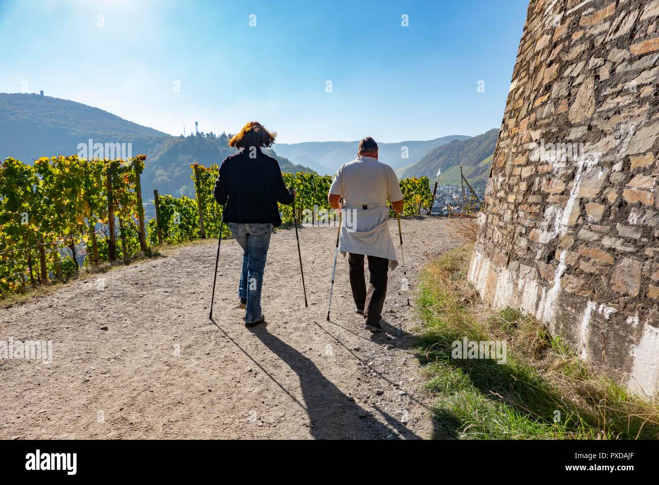 Dernau, Ahr valley, Germany, Walking along the redwine trail (Rotwein-Wanderweg) trough the vineyards of the Ahr Valley is very popular Stock Photo