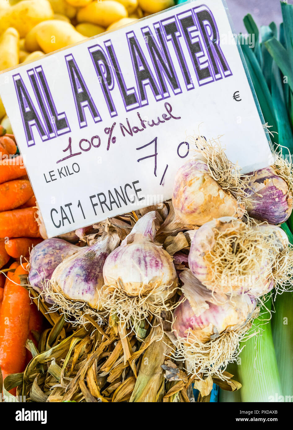 Garlic for planting on French market stall. Stock Photo