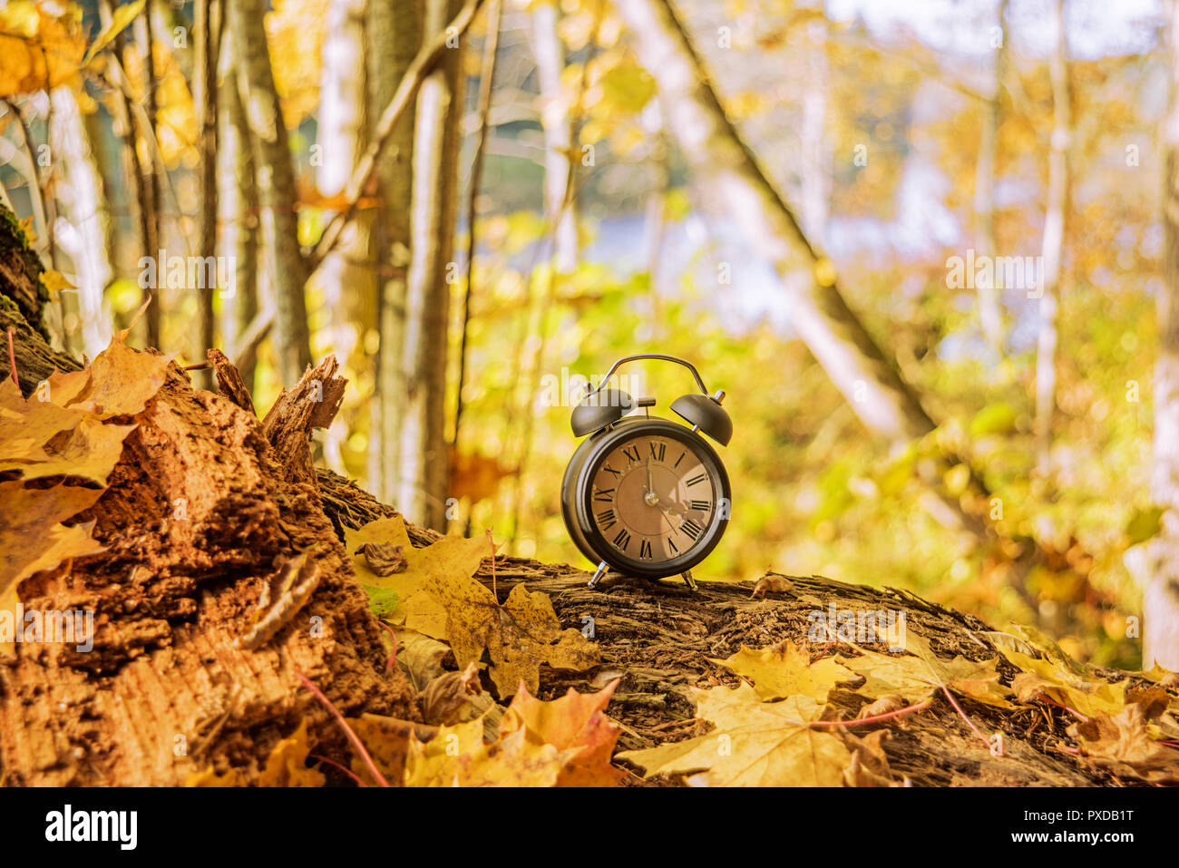 Autumn landscape abstraction. Fall back time. Daylight saving time ...