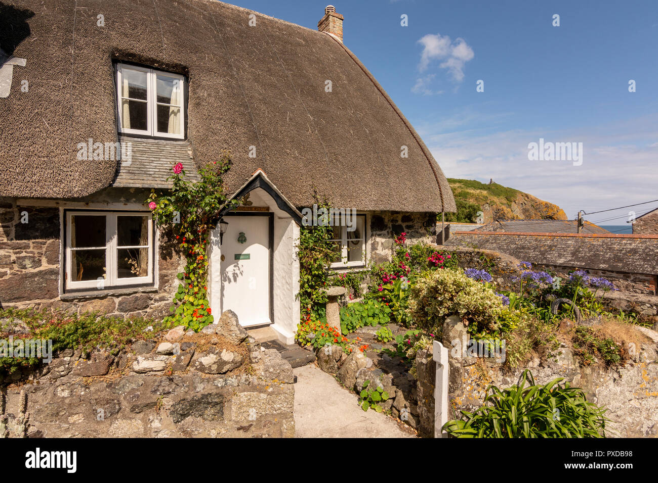Thatched Cottage Cadgwith Cove Cornwall Uk Stock Photo