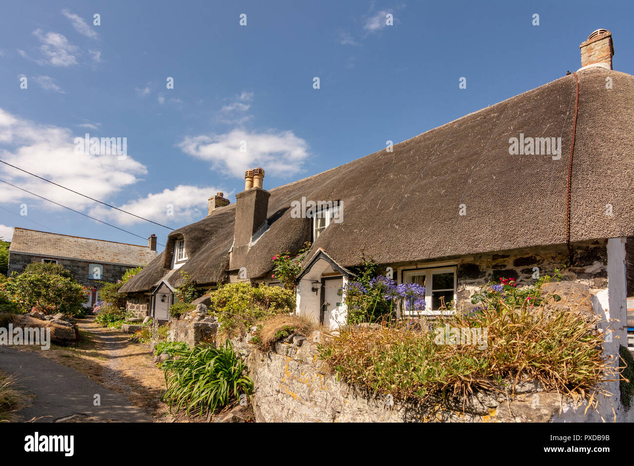 Thatched Cottages Cadgwith Cove Cornwall Uk Stock Photo