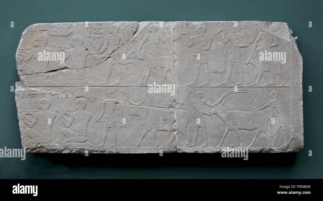 Relief depicting parade for the sacrificial animals. Tomb of the official Nofer at Giza. c. 2500 BC, 4th dynasty, Old Kingdom. Limestone. Stock Photo