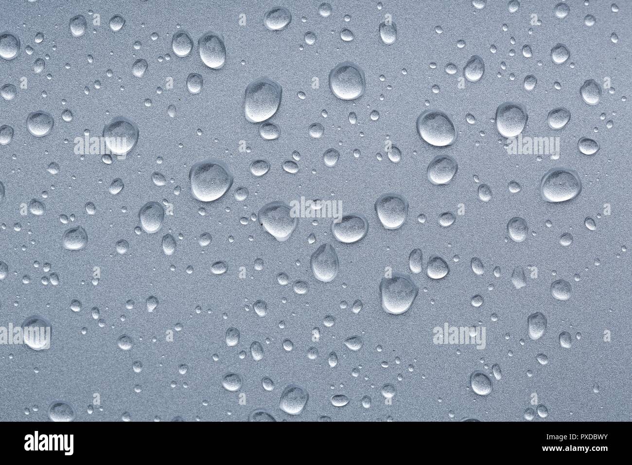 Shiny Water Droplets Stock Photo