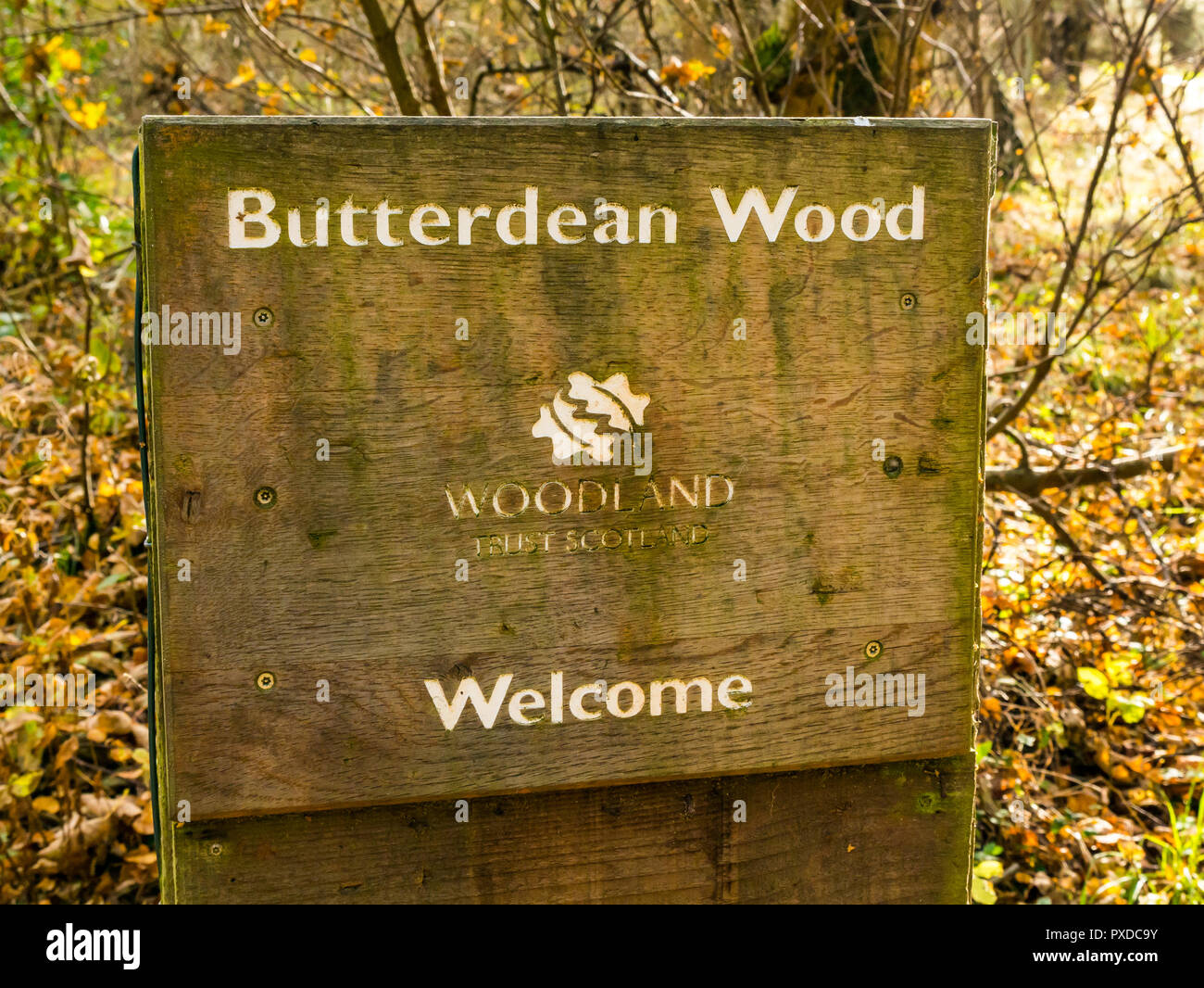 Woodland trust sign hires stock photography and images Alamy