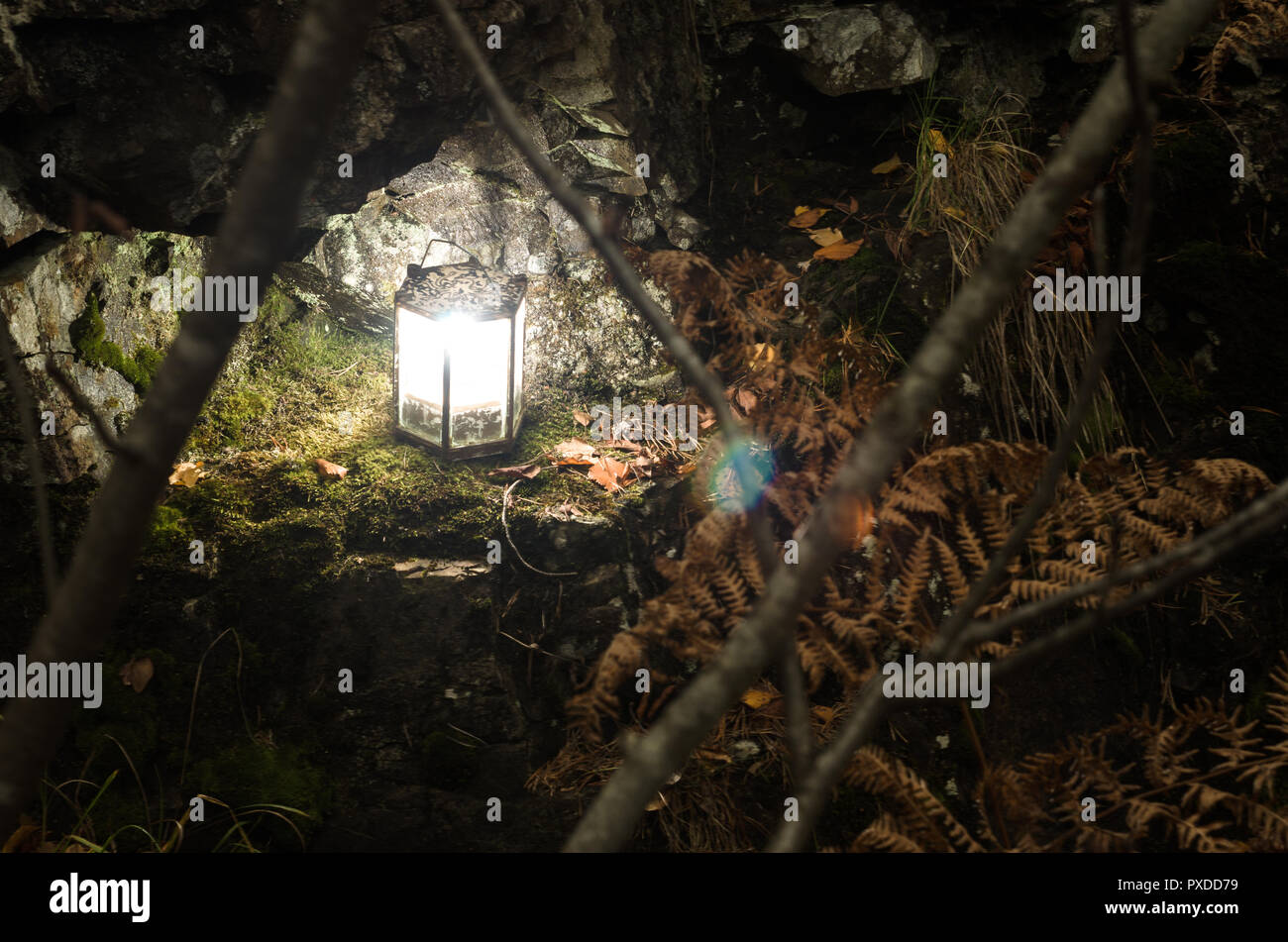 Depth of night hi-res stock photography and images - Alamy