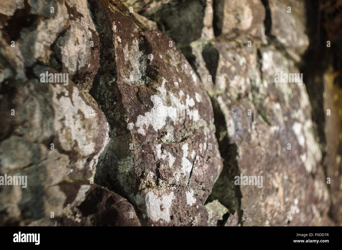 Surface of rocks covered by lichenes. Stock Photo