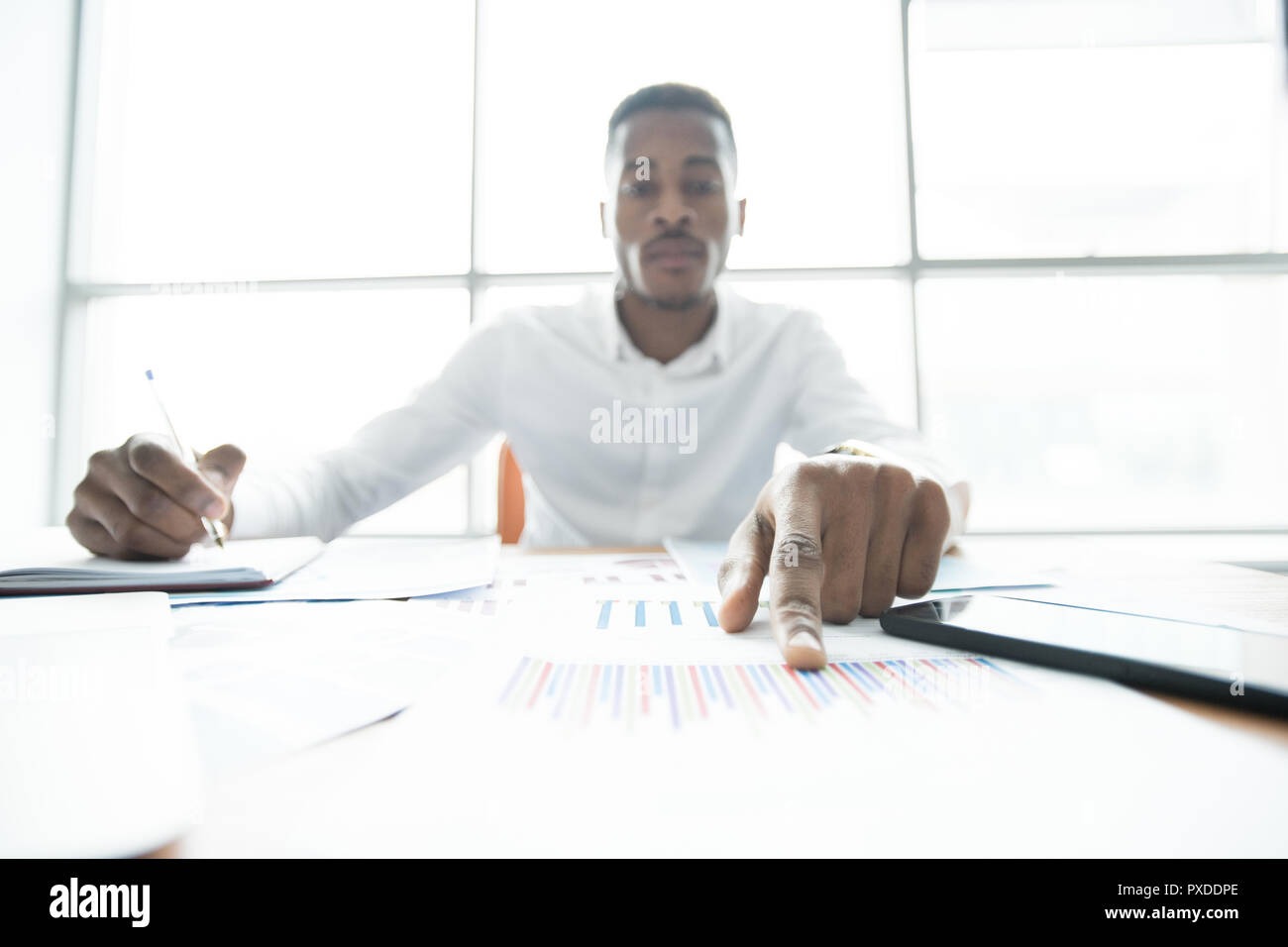 Concentrated financial advisor examining papers Stock Photo