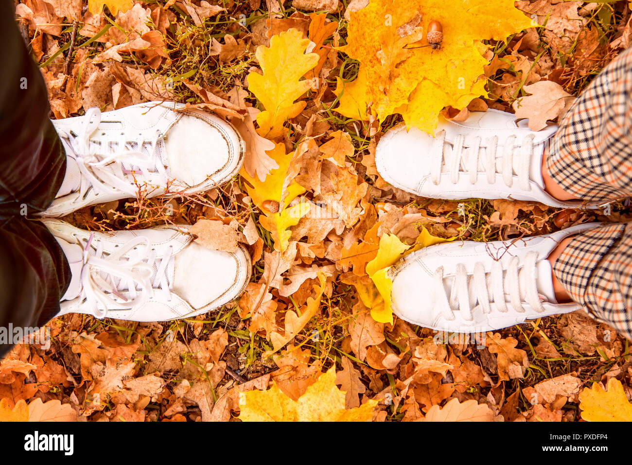 top view of male and female feet in white leather sneakers standing opposite each other on yellow and orange autumn leaves in park Stock Photo