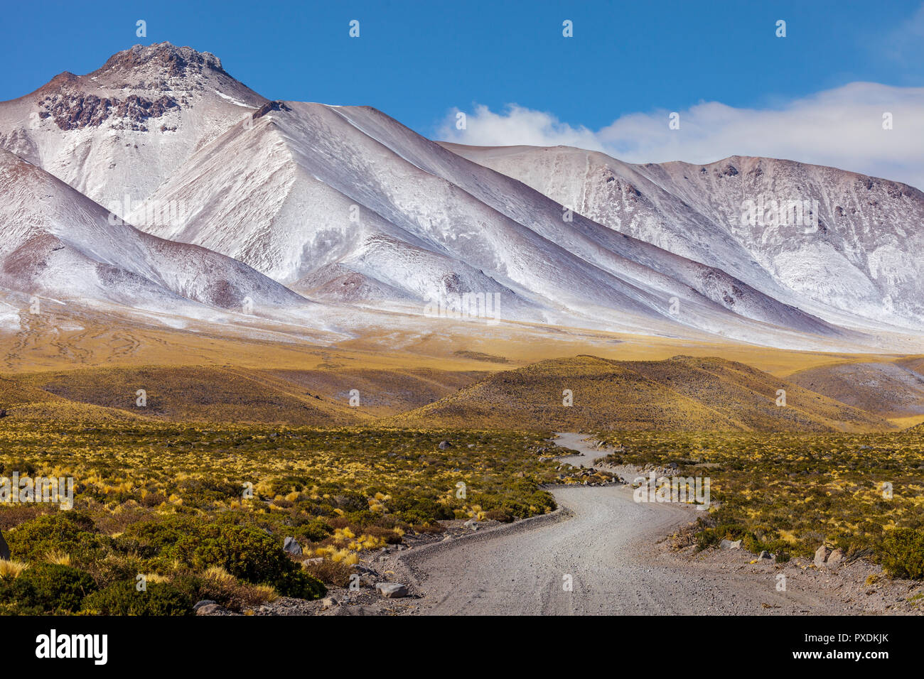 Panoramic view of the Lascar volcano complex (Atacama, Chile) Stock Photo