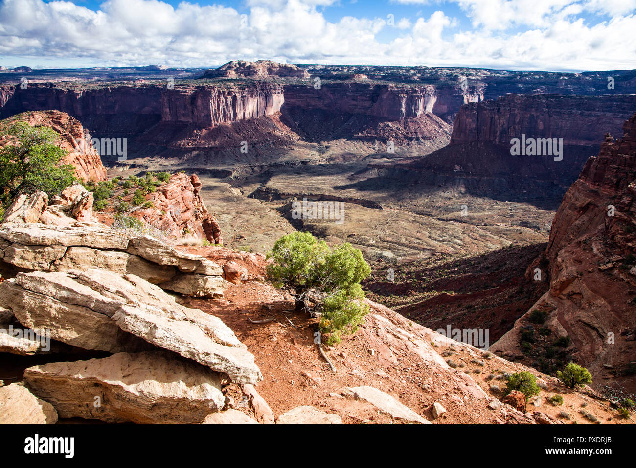 Overlooking Taylor Canyon at the Alcove Springs Trailhead in Canyonlands National Park, Utah. Stock Photo