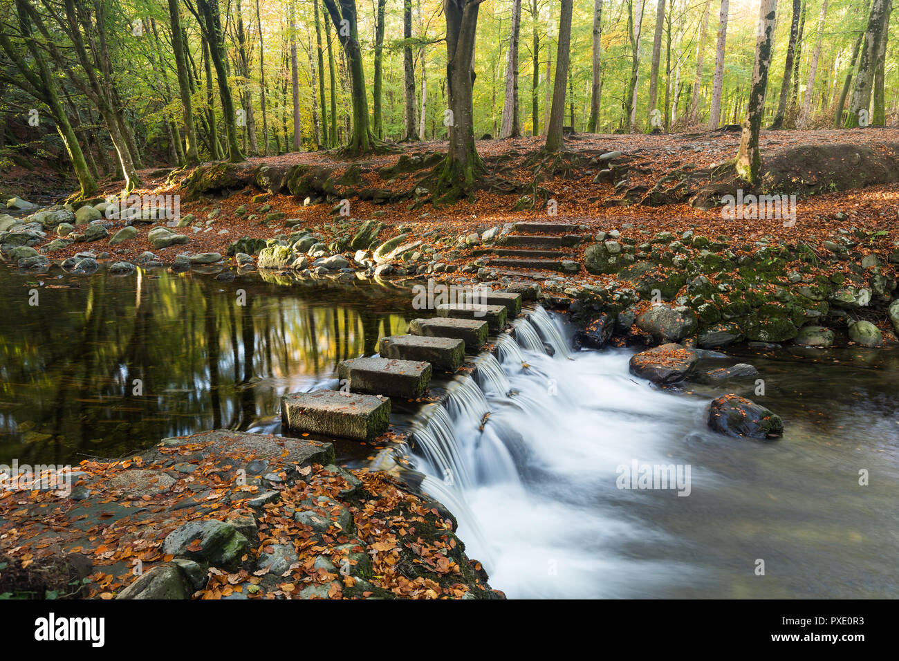 Newcastle,  N.Ireland, 21st October, 2018. UK Weather: Sunny intervals in the afternoon after a grey wet morning.  Lovely afternoon for a walk around Tollymore Forest Park to enjoy the autumn colours. Stepping stones over the River Shimna. Credit: Ian Proctor/Alamy Live News Stock Photo