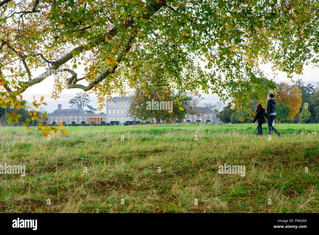 Celbridge, Kildare, Ireland: 21st October 2018. Ireland Weather: Beatuful Sunday afternoon with warm sunny spells  after wet morning. Autumn in full swing in the Castletown Park. Credit: Michael Grubka/Alamy Live News Stock Photo