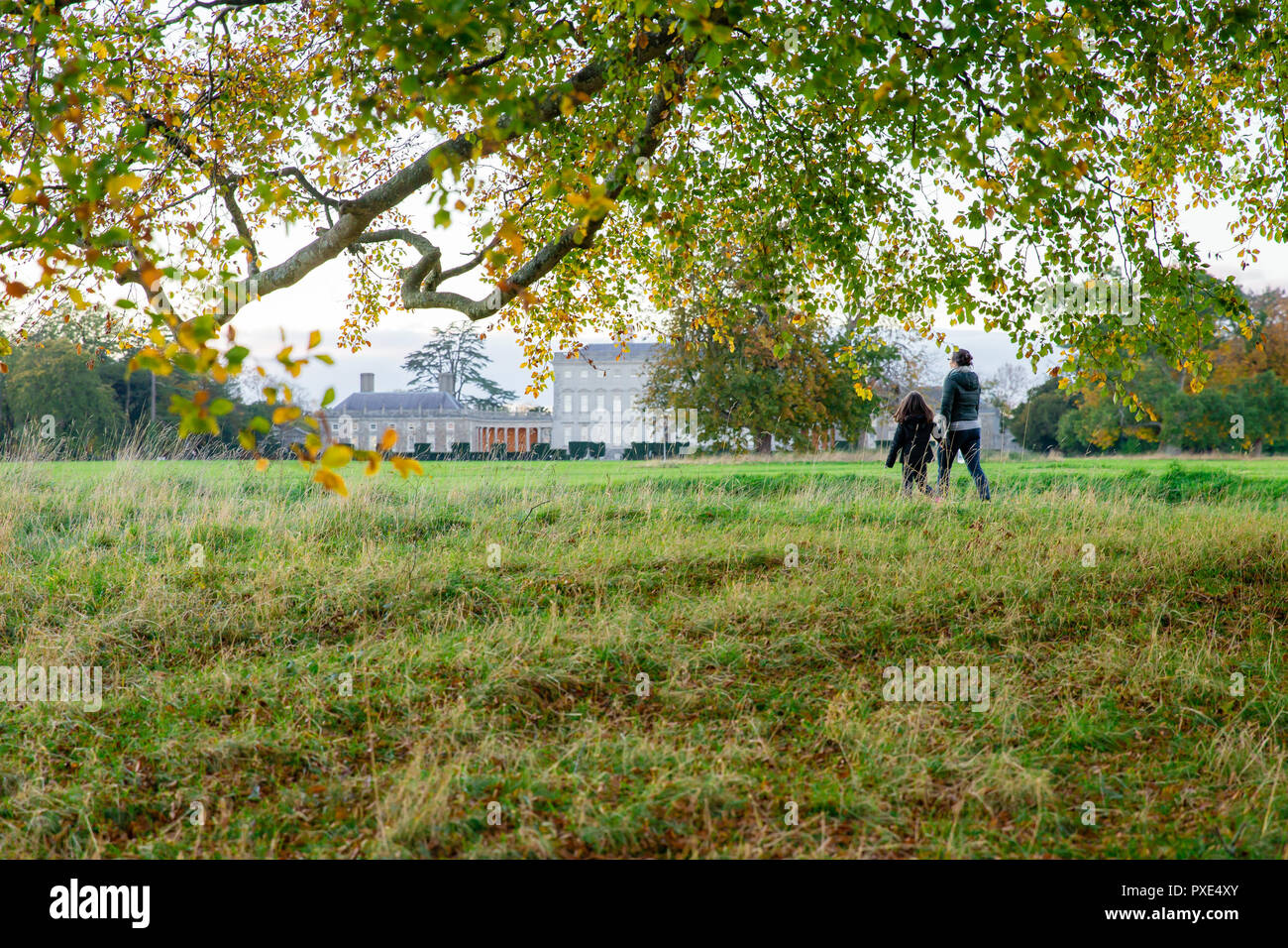 Celbridge, Kildare, Ireland: 21st October 2018. Ireland Weather: Beatuful Sunday afternoon with warm sunny spells  after wet morning. Autumn in full swing in the Castletown Park. Credit: Michael Grubka/Alamy Live News Stock Photo