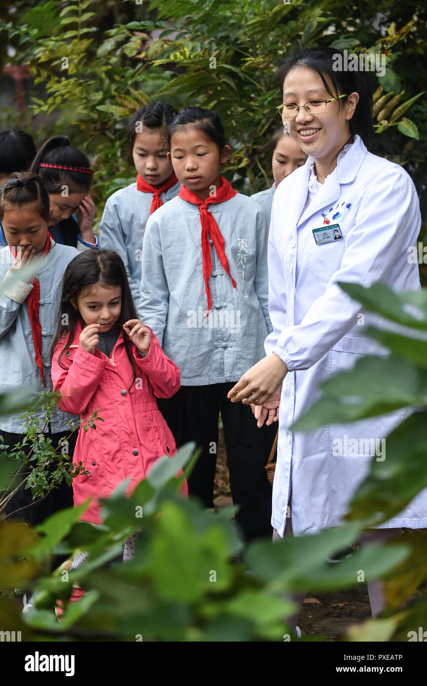 Baixian hires stock photography and images Alamy