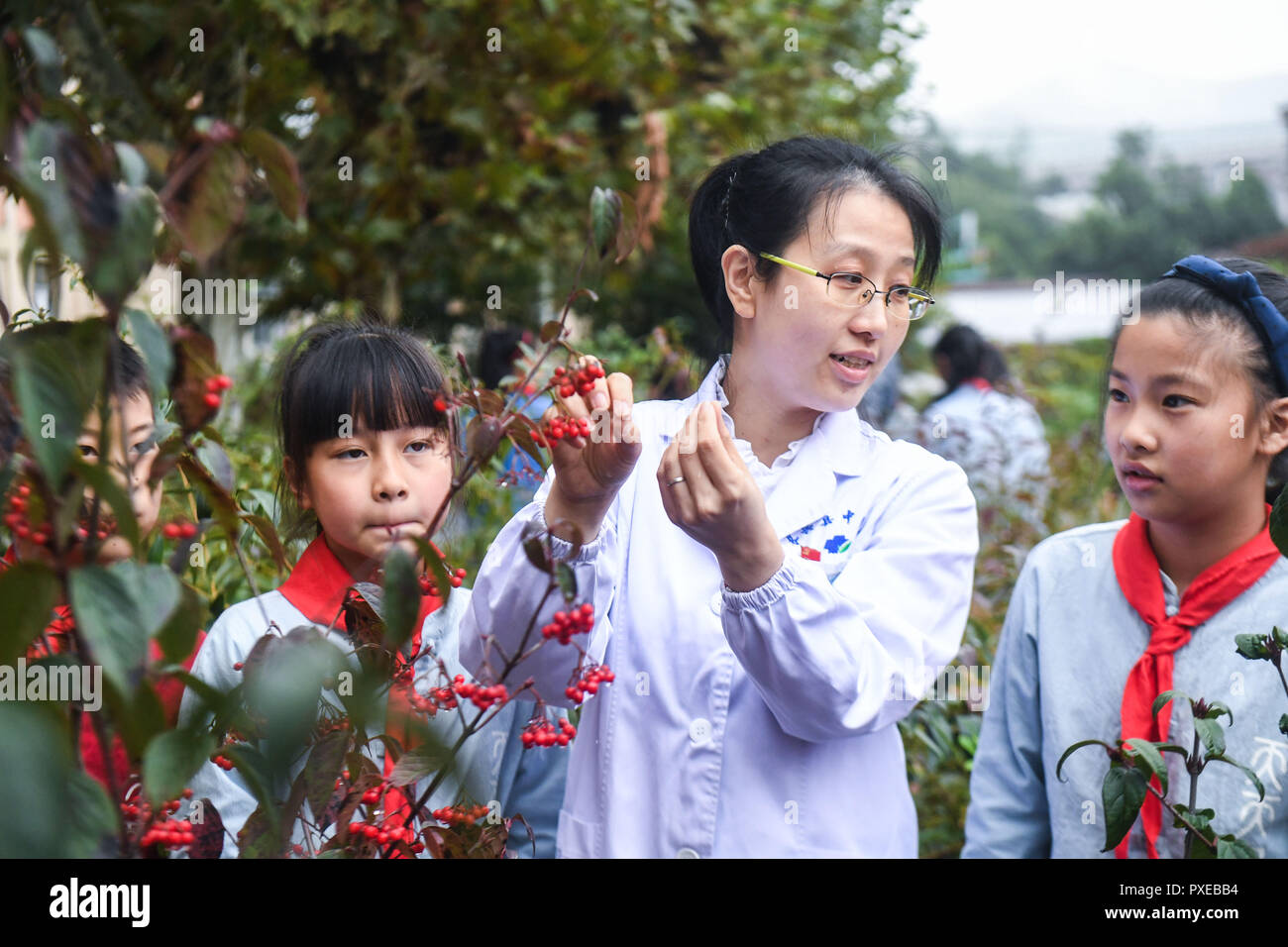 Traditional chinese medicine hospital hires stock photography and images Alamy