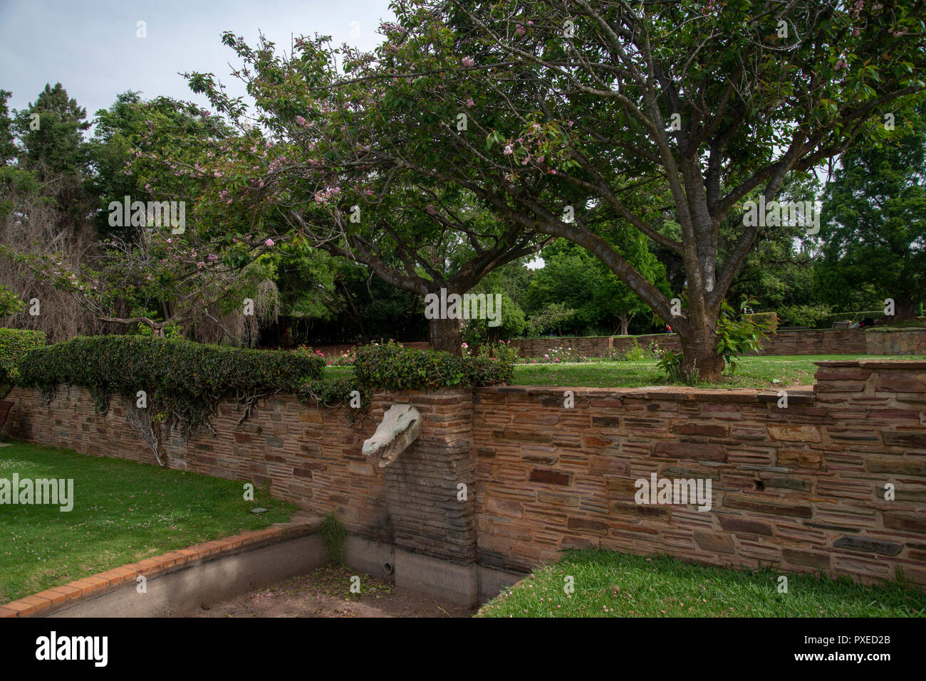 Johannesburg South Africa 22 October 2018 The Johannesburg Botanical Garden A Public Rose Garden Is Seen
