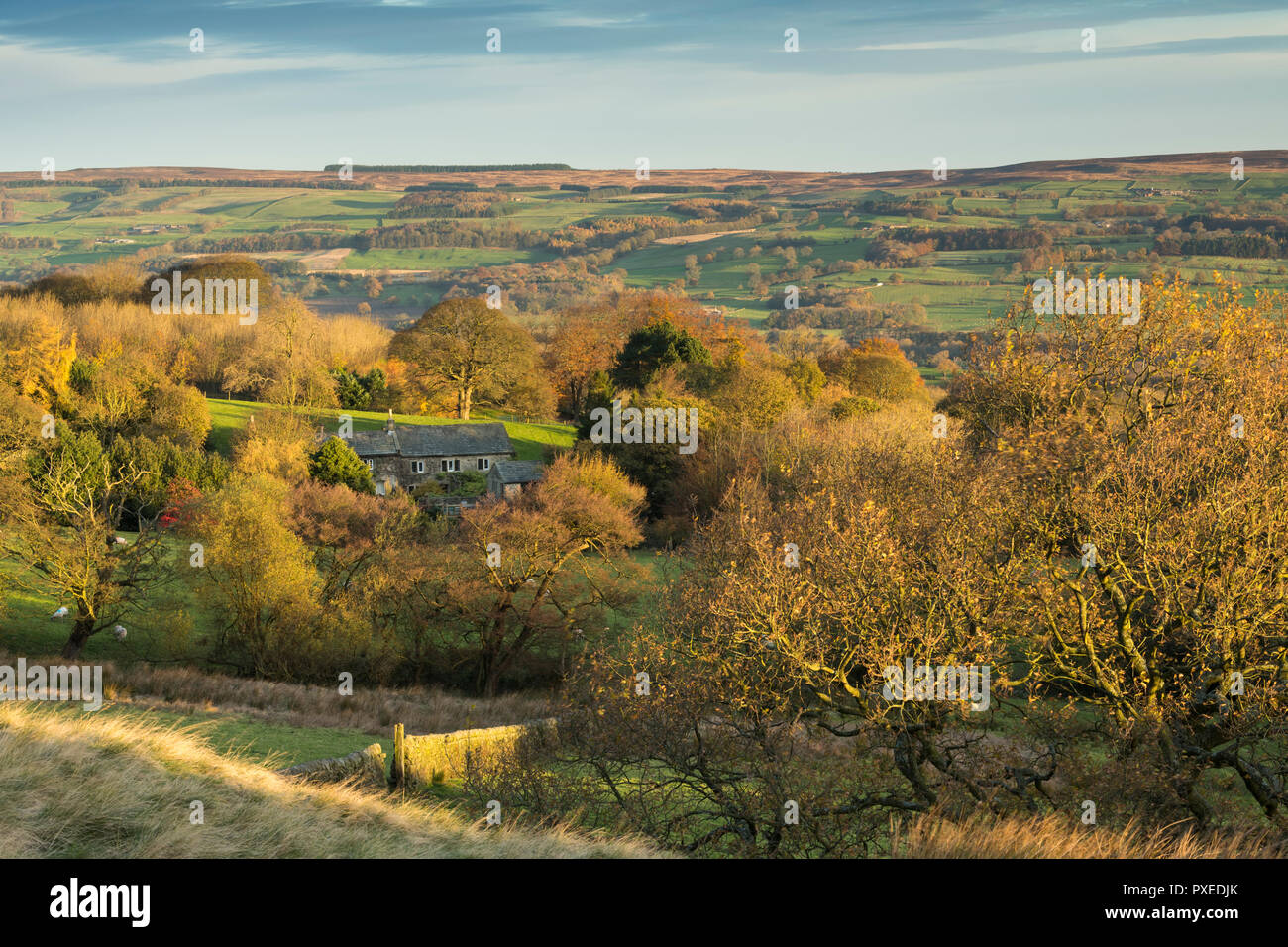 High view over scenic Wharfedale with cottage & colourful autumn trees lit by morning sunlight - from Burley Woodhead, West Yorkshire, England, UK. Stock Photo