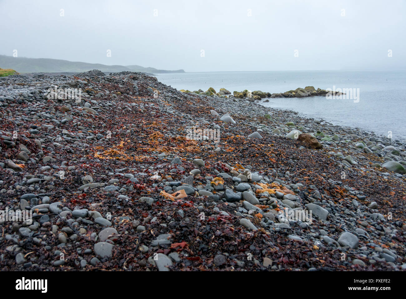 Dramatic beach of black pebbles, green grass, and lagoons on Skagafjordur, North Iceland during blue hour sunset Stock Photo