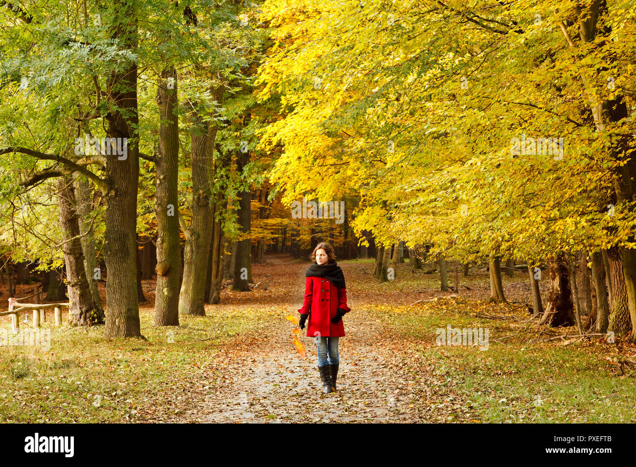 Girl walking on pathway hi-res stock photography and images - Alamy