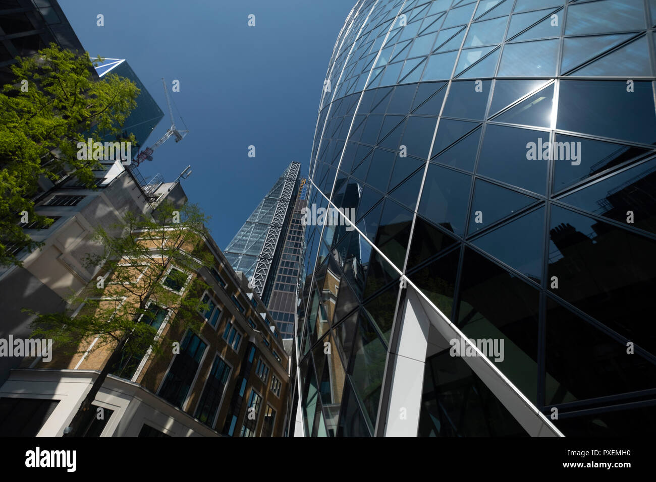 The Gherkin (30 St Mary Axe) / Swiss Re Building with the Cheese Grater in the background, City of London, England, UK Stock Photo