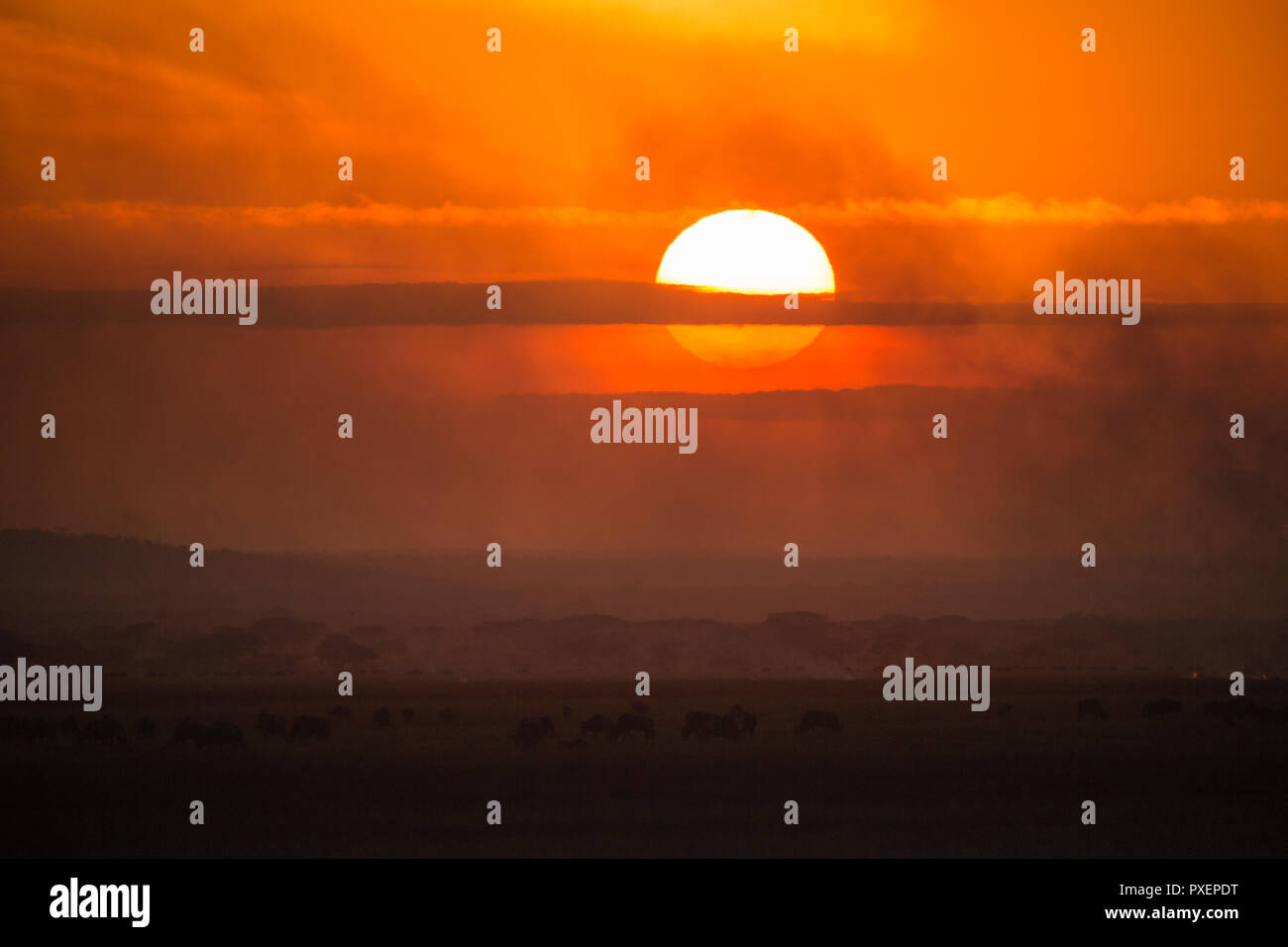 Sunrise over the Serengeti, Tanzania Stock Photo