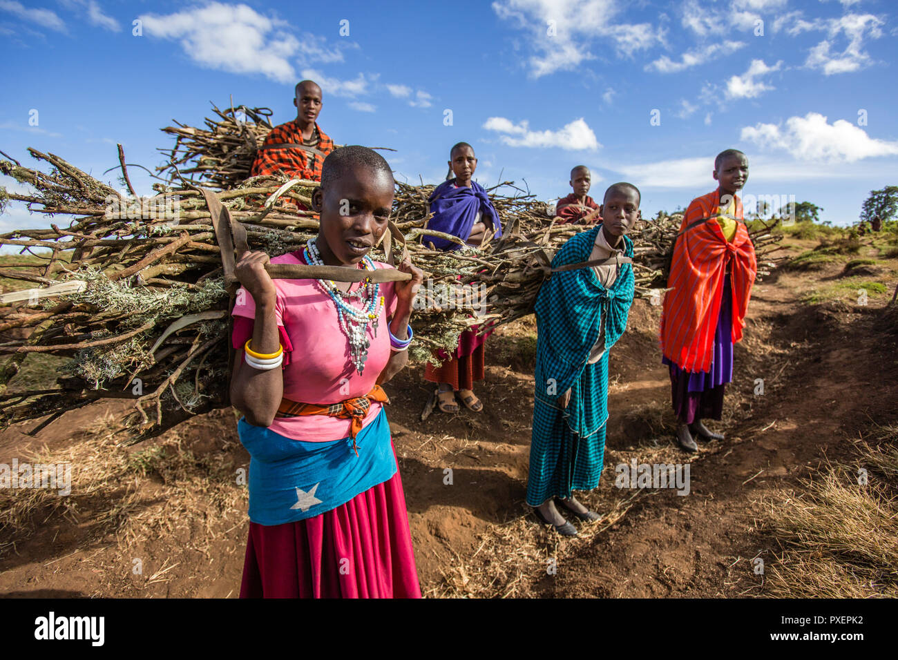Maasai girls at work, Ngorongoro Crater in Tanzania Stock Photo