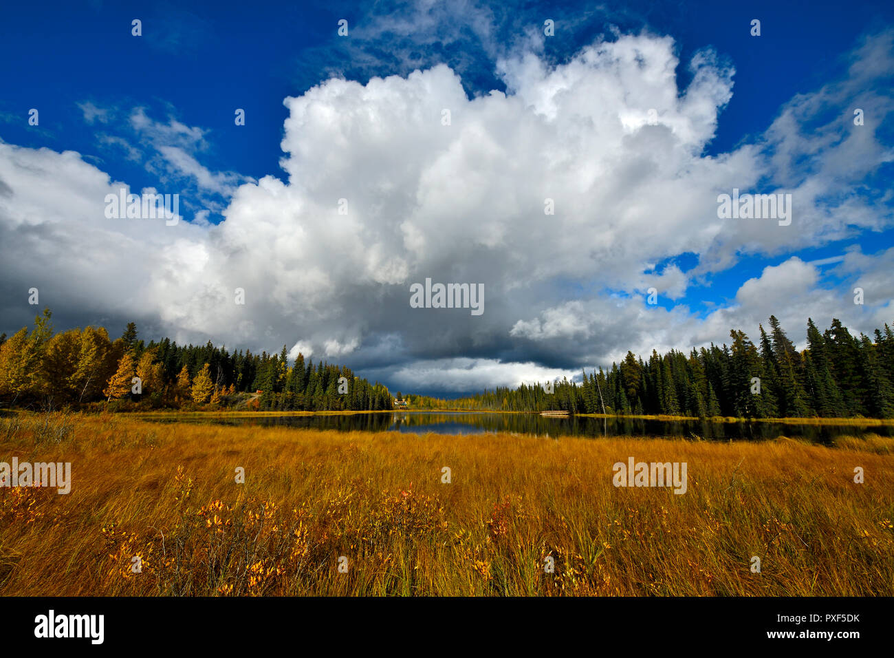 A fall landscape image of Maxwell lake in Hinton Alberta Canada with a large cloud poised above the calm waters of the lake. Stock Photo