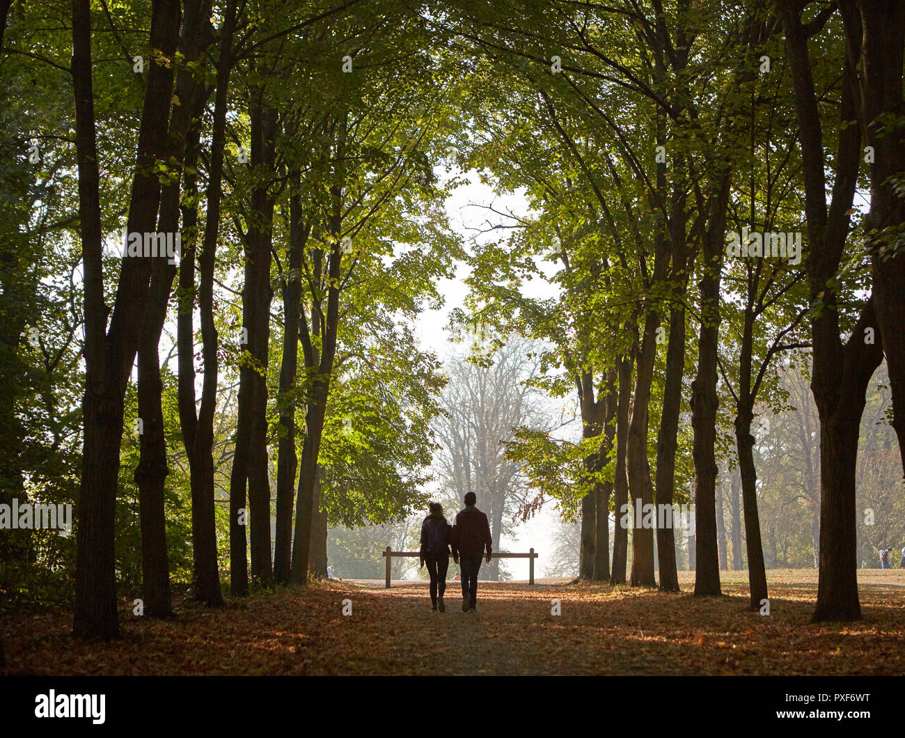 couple walking in the forest Stock Photo