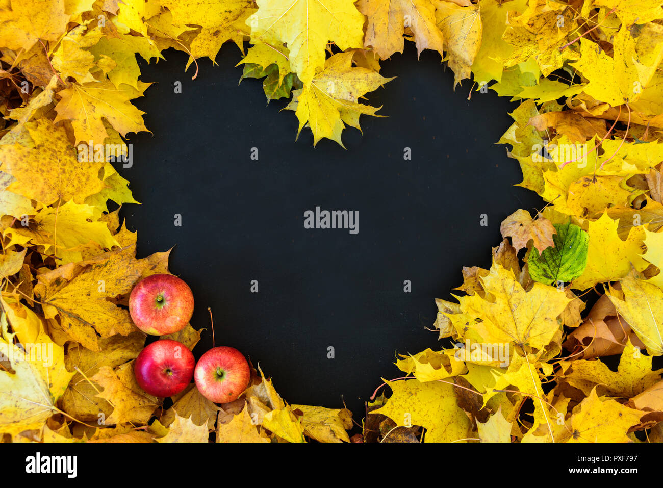 Blackboard with frame of leaves in heart shape. Frame is empty. With apples Stock Photo