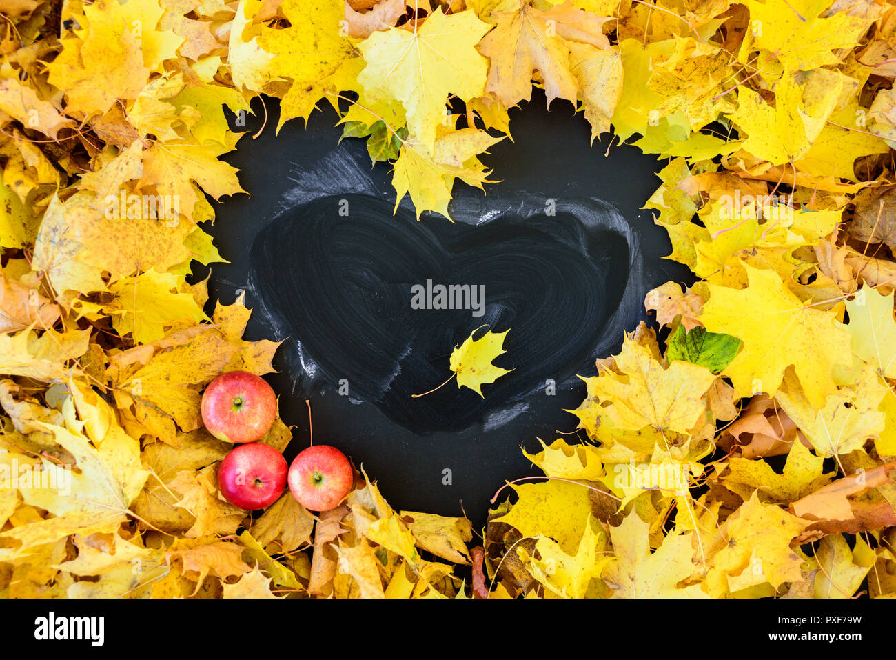 Blackboard with frame of leaves in heart shape. Frame is empty. With apples Stock Photo