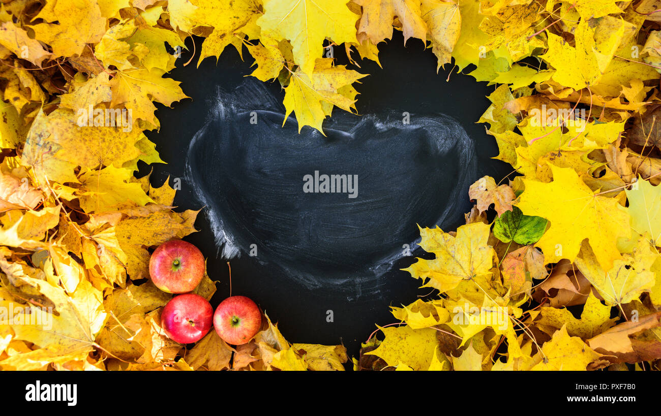 Blackboard with frame of leaves in heart shape. Frame is empty. With apples. Wide format Stock Photo