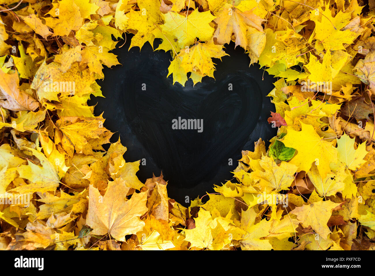 Blackboard with frame of leaves in heart shape. Frame is empty. Stock Photo