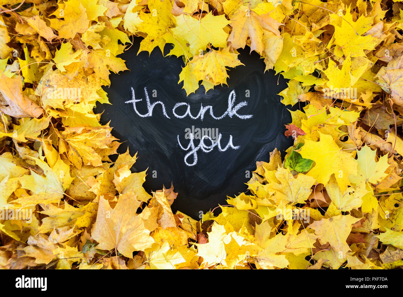 Blackboard with frame of leaves in heart shape. Word THANK YOU is written there. Thanksgiving concept Stock Photo
